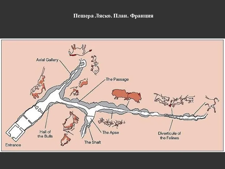 Пешера Ляско. План. Франция