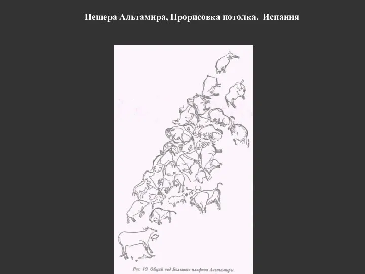 Пещера Альтамира, Прорисовка потолка. Испания