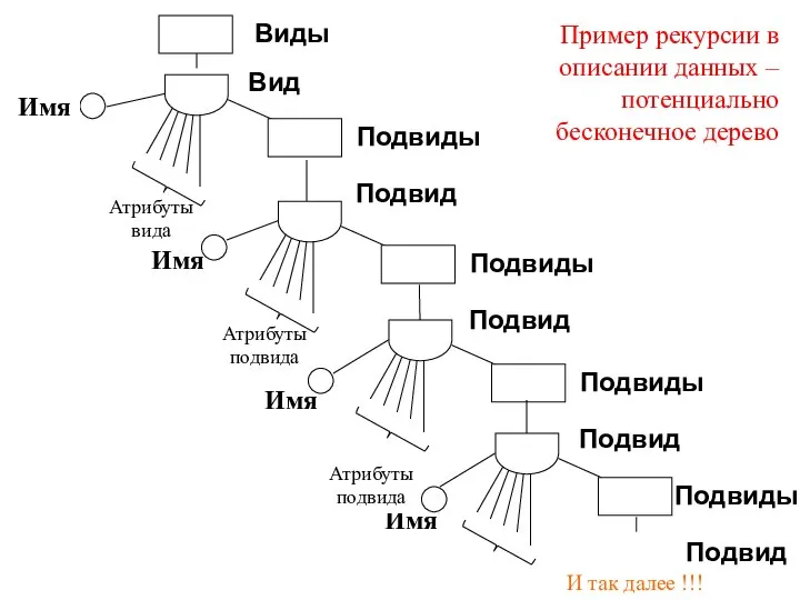 Атрибуты подвида Имя Имя Имя Атрибуты вида Вид Виды Подвиды Подвид