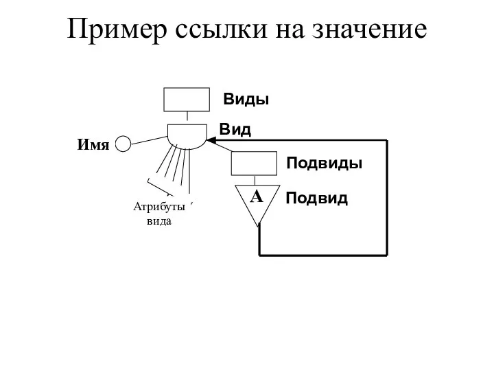 Пример ссылки на значение Вид Виды Подвиды Подвид Имя А Атрибуты вида