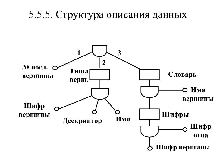 № посл. вершины Типы верш. Имя вершины Шифр вершины Дескриптор Имя