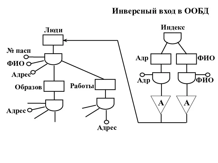 Люди ФИО Адрес Инверсный вход в ООБД № пасп Образов Работы