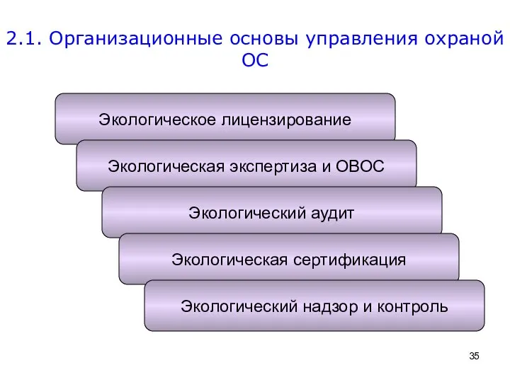 2.1. Организационные основы управления охраной ОС