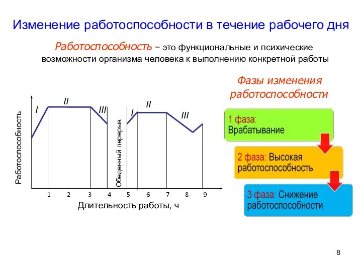 Изменение работоспособности в течение рабочего дня Фазы изменения работоспособности Работоспособность −