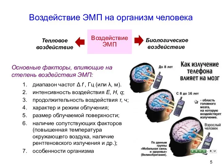 Воздействие ЭМП на организм человека Основные факторы, влияющие на степень воздействия