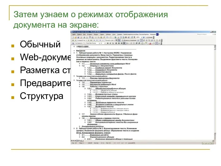 Затем узнаем о режимах отображения документа на экране: Обычный Web-документ Разметка страницы Предварительный просмотр Структура