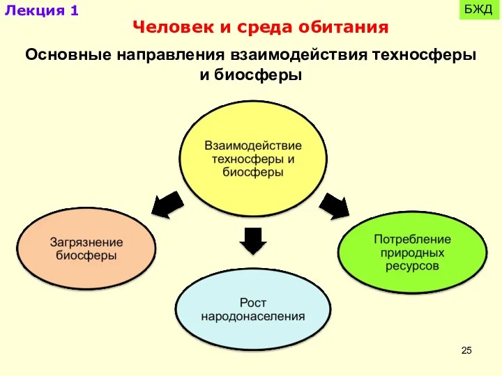 Лекция 1 БЖД Человек и среда обитания Основные направления взаимодействия техносферы и биосферы