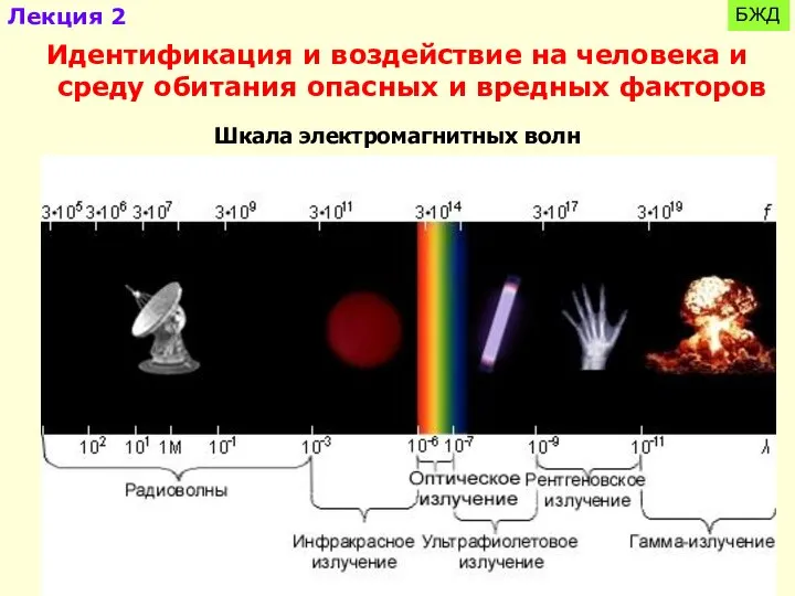 БЖД Идентификация и воздействие на человека и среду обитания опасных и