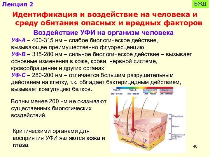 БЖД Идентификация и воздействие на человека и среду обитания опасных и