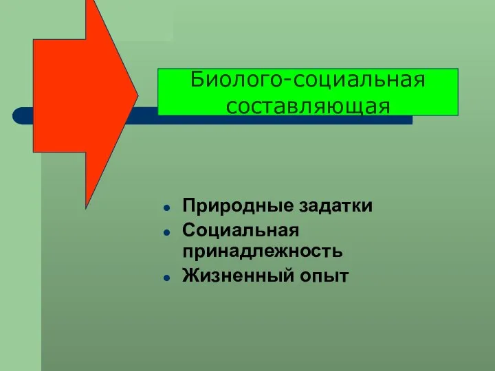 Природные задатки Социальная принадлежность Жизненный опыт Биолого-социальная составляющая