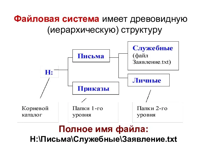 Полное имя файла: Н:\Письма\Служебные\Заявление.txt Файловая система имеет древовидную (иерархическую) структуру