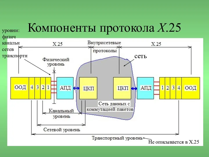 Компоненты протокола X.25 уровни: физич канальн сетев транспортн сеть Не описывается в Х.25