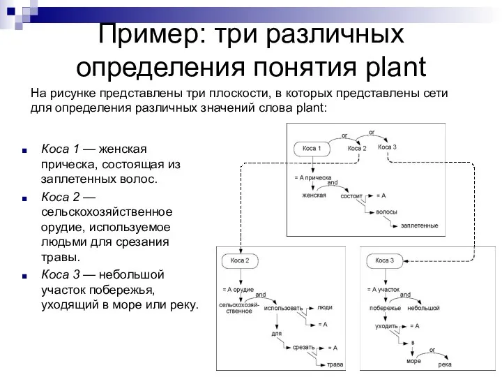 Пример: три различных определения понятия plant Коса 1 — женская прическа,