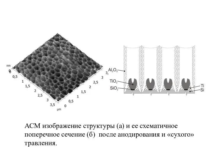 АСМ изображение структуры (а) и ее схематичное поперечное сечение (б) после анодирования и «сухого» травления.