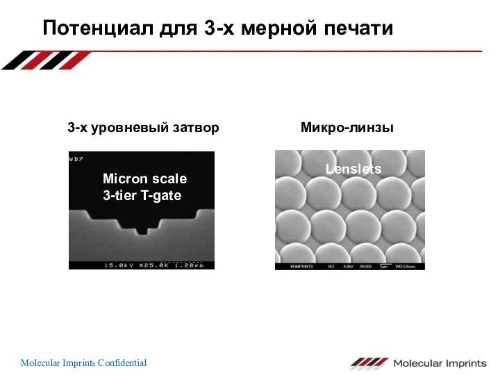 Потенциал для 3-х мерной печати Micron scale 3-tier T-gate 3-х уровневый затвор Микро-линзы
