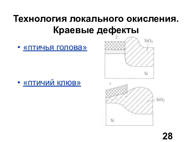 Технология локального окисления. Краевые дефекты «птичья голова» «птичий клюв»