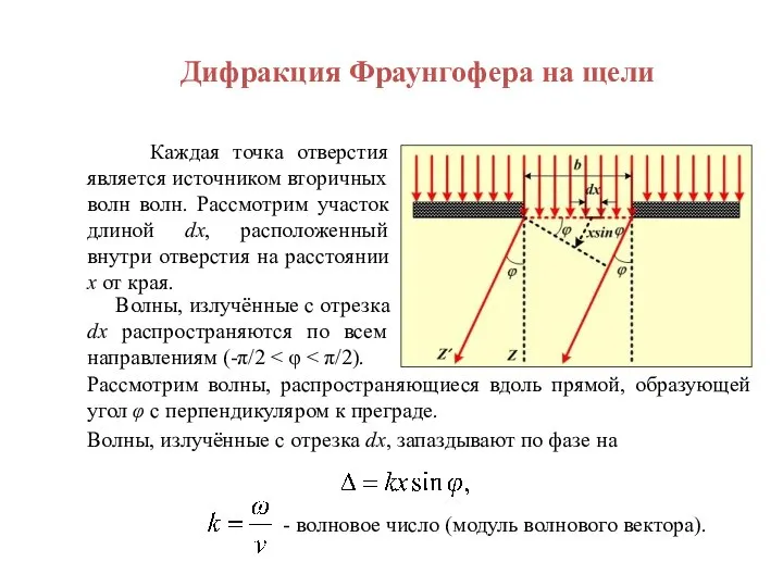 Дифракция Фраунгофера на щели Каждая точка отверстия является источником вторичных волн