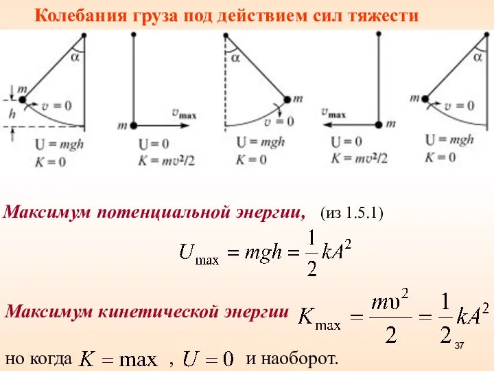 Колебания груза под действием сил тяжести Максимум потенциальной энергии, (из 1.5.1)