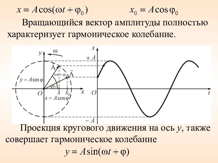 Вращающийся вектор амплитуды полностью характеризует гармоническое колебание. Проекция кругового движения на