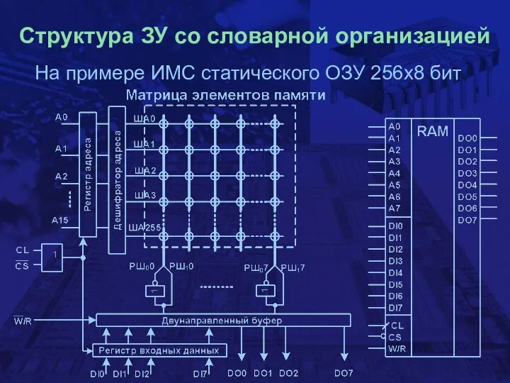 Структура ЗУ со словарной организацией На примере ИМС статического ОЗУ 256х8 бит