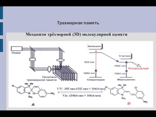 Трехмерная память Механизм трёхмерной (3D) молекулярной памяти