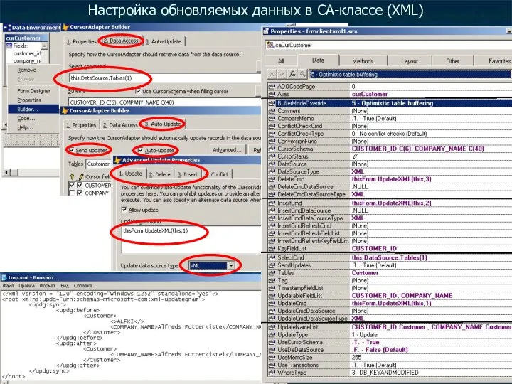 Настройка обновляемых данных в CA-классе (XML)