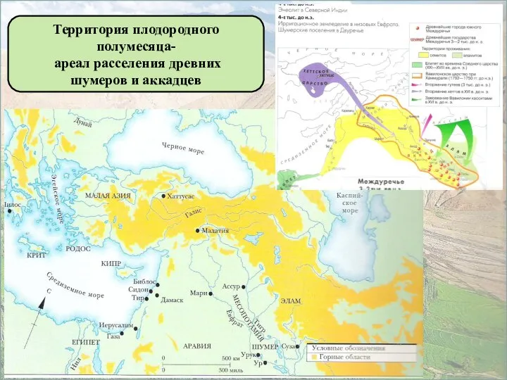 Территория плодородного полумесяца- ареал расселения древних шумеров и аккадцев