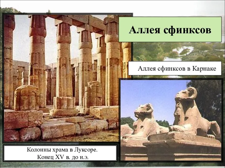 Колонны храма в Луксоре. Конец XV в. до н.э. Аллея сфинксов в Карнаке Аллея сфинксов