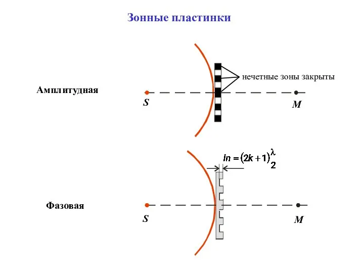 Амплитудная Фазовая Зонные пластинки