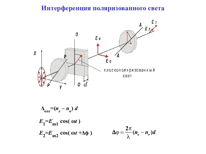 Интерференция поляризованного света E2=Em2 cos( ωt +Δϕ ) Δопт=(ne – no)