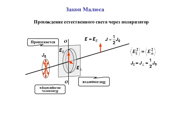 Закон Малюса Поглощается Пропускается Прохождение естественного света через поляризатор