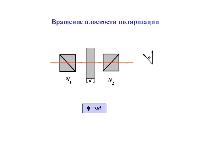 Вращение плоскости поляризации ϕ =αd