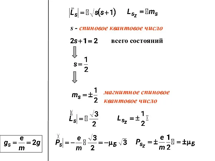 s - спиновое квантовое число