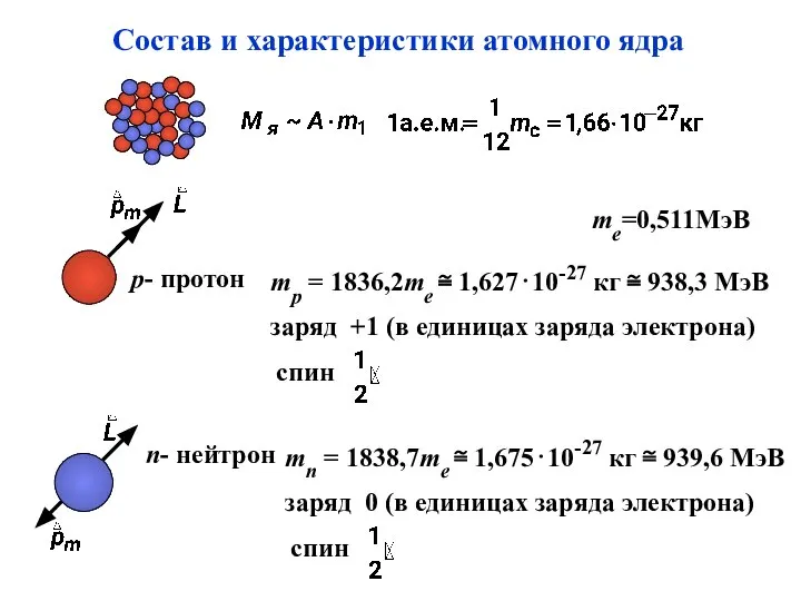 Cостав и xарактеристики атомного ядра p- протон mp = 1836,2me ≅