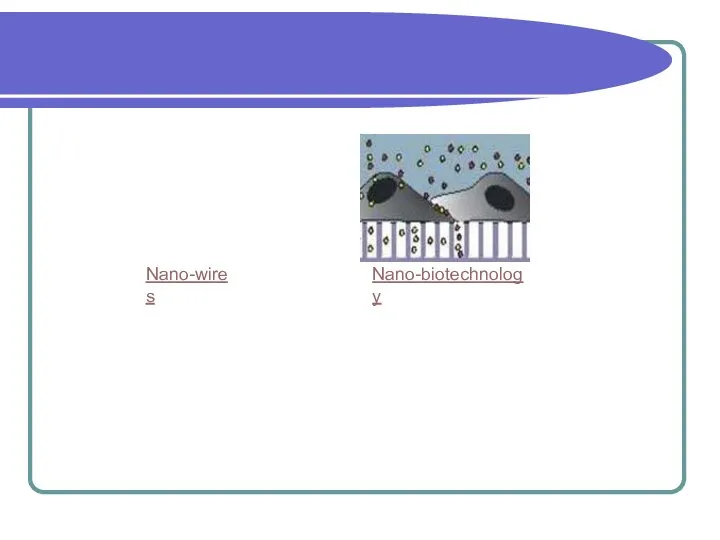 Nano-wires Nano-biotechnology