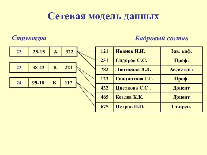 Сетевая модель данных Структура Кадровый состав