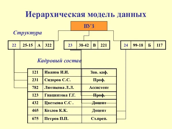 Иерархическая модель данных Структура Кадровый состав ВУЗ