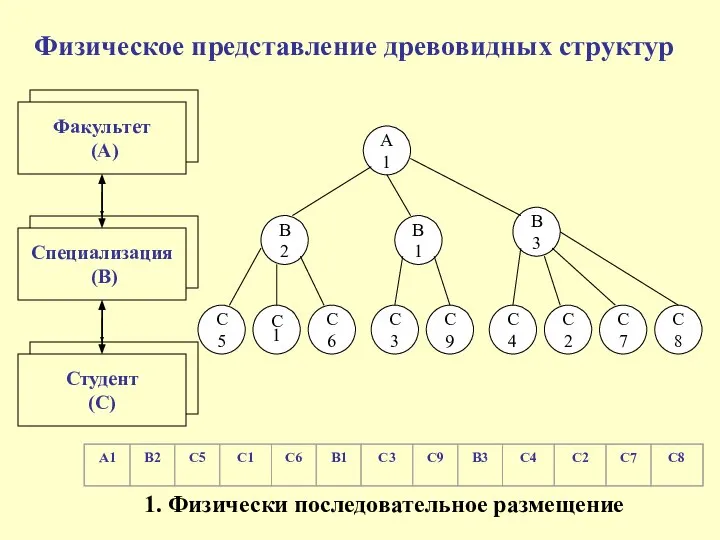 Физическое представление древовидных структур Факультет (А) Специализация (В) Студент (С) 1. Физически последовательное размещение