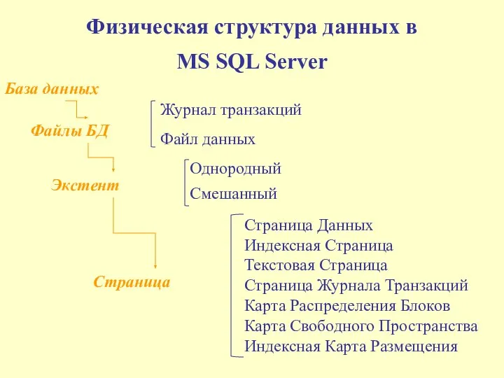 Физическая структура данных в MS SQL Server База данных Однородный Файлы