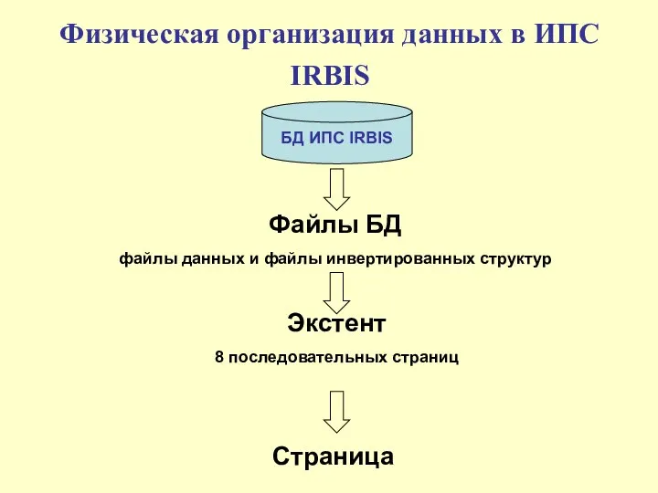 Физическая организация данных в ИПС IRBIS БД ИПС IRBIS Файлы БД
