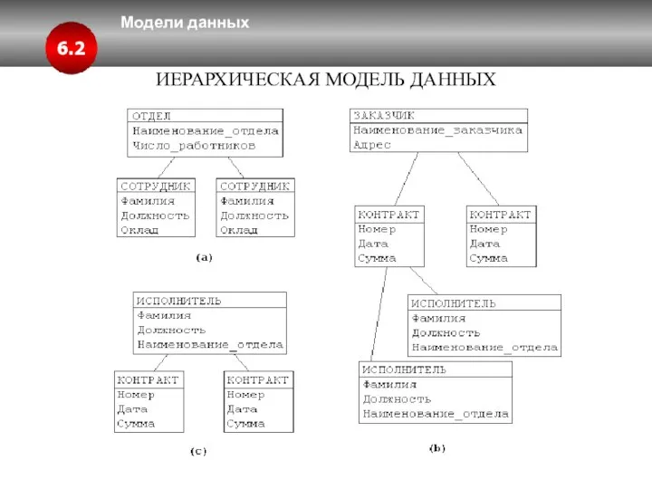 Модели данных 6.2 ИЕРАРХИЧЕСКАЯ МОДЕЛЬ ДАННЫХ