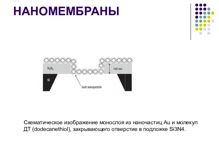 НАНОМЕМБРАНЫ Схематическое изображение монослоя из наночастиц Au и молекул ДТ (dodecanethiol), закрывающего отверстие в подложке Si3N4.