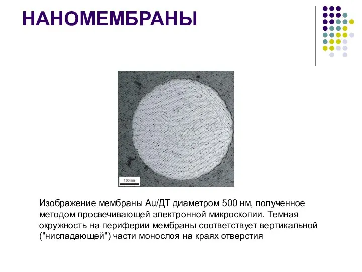 НАНОМЕМБРАНЫ Изображение мембраны Au/ДТ диаметром 500 нм, полученное методом просвечивающей электронной