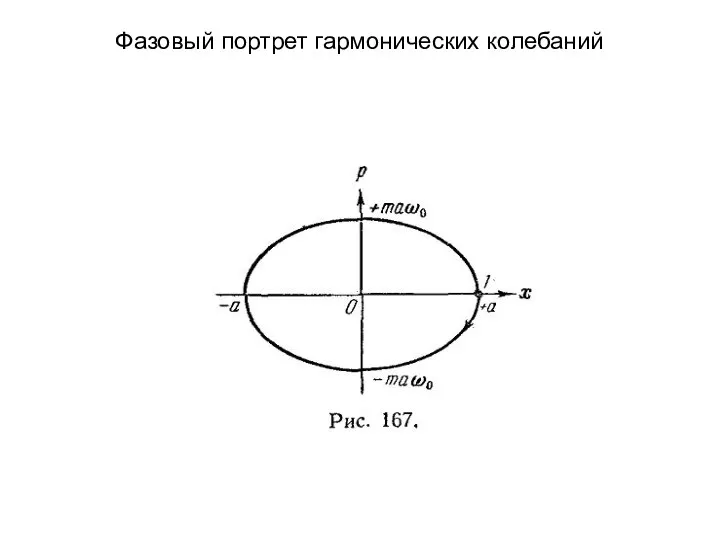 Фазовый портрет гармонических колебаний