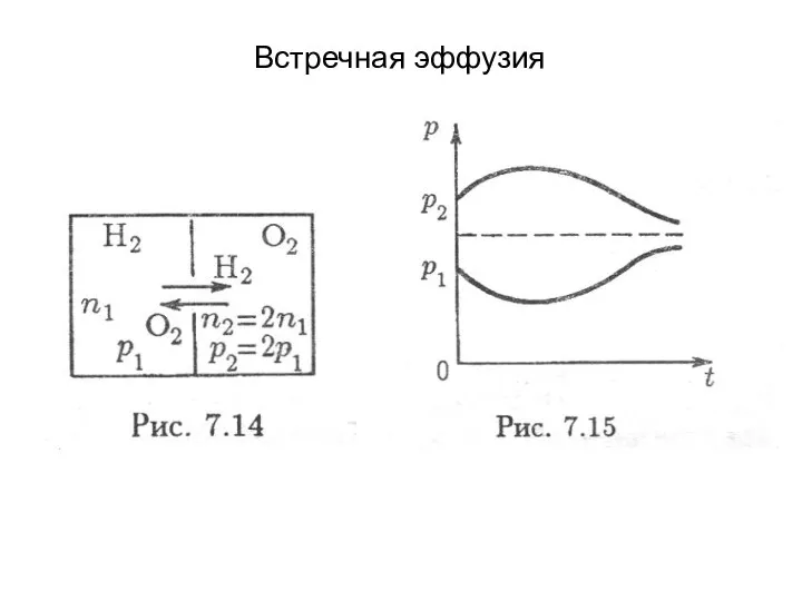 Встречная эффузия