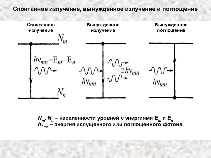 Спонтанное излучение Вынужденное излучение Вынужденное поглощение Спонтанное излучение, вынужденное излучение и