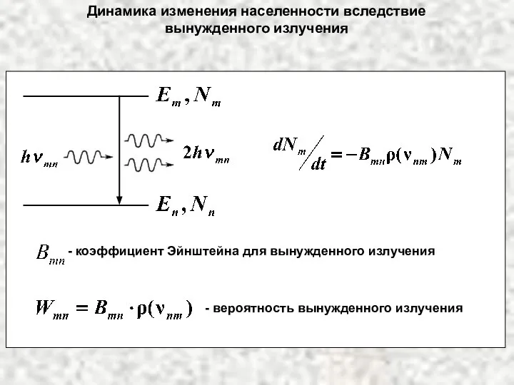 Динамика изменения населенности вследствие вынужденного излучения - коэффициент Эйнштейна для вынужденного излучения - вероятность вынужденного излучения