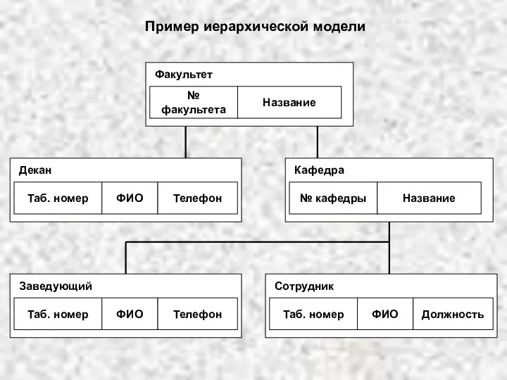 № факультета Название Факультет Таб. номер ФИО Декан Телефон № кафедры