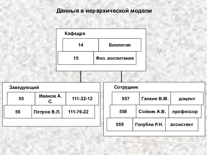 14 Биология Кафедра 15 Физ. воспитание 55 Иванов А.С. Заведующий 111-22-12