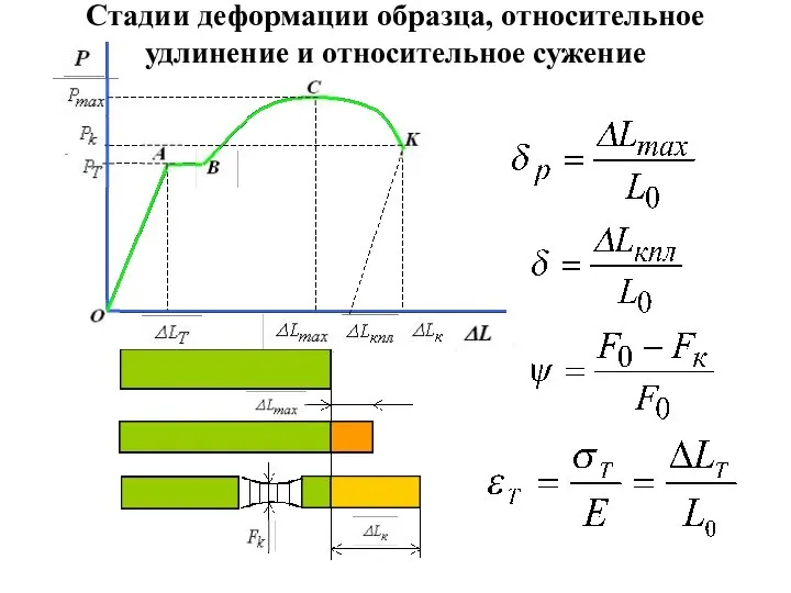 Стадии деформации образца, относительное удлинение и относительное сужение